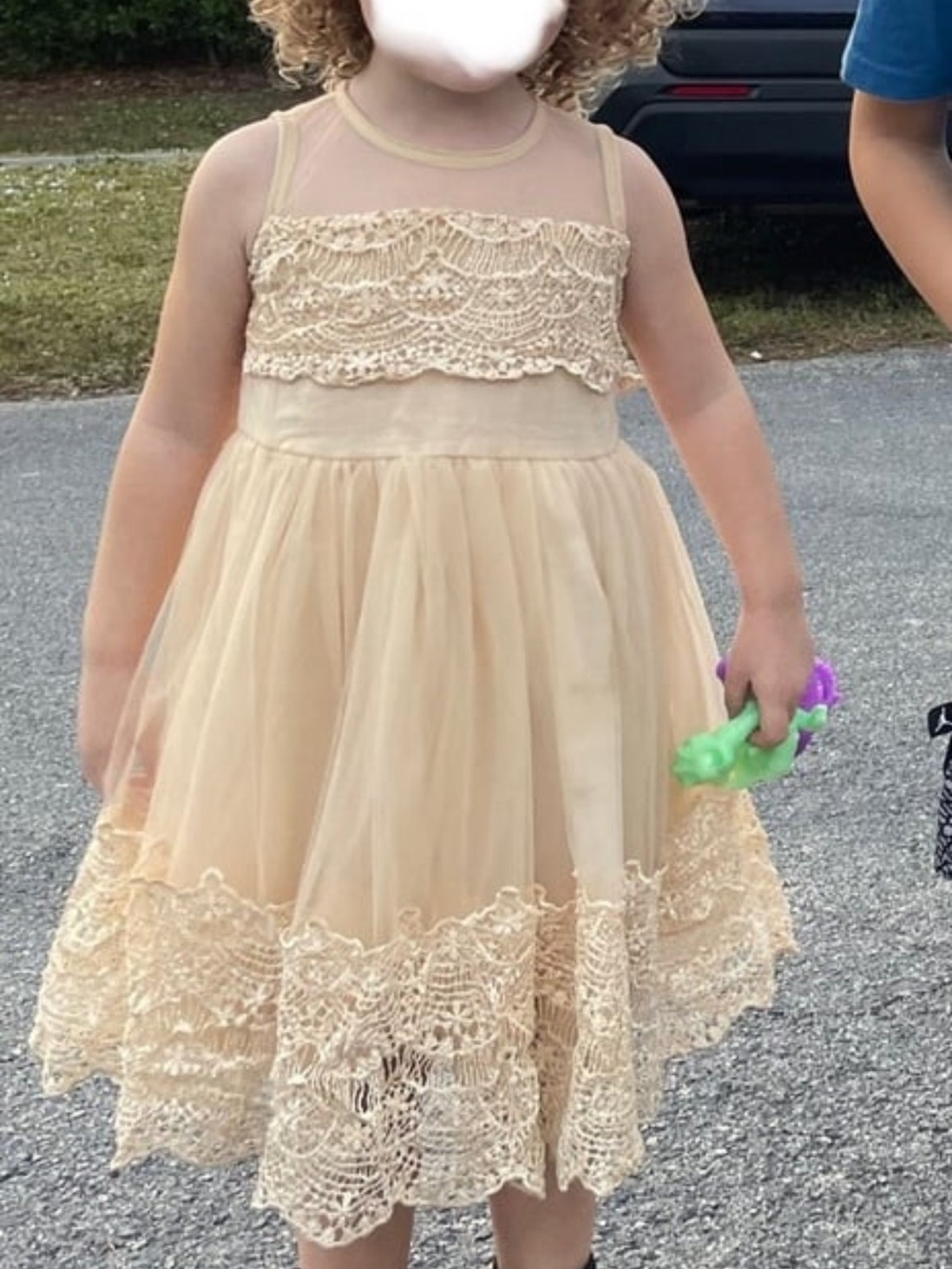 Cream Lace Tulle Girl's Party Dress
